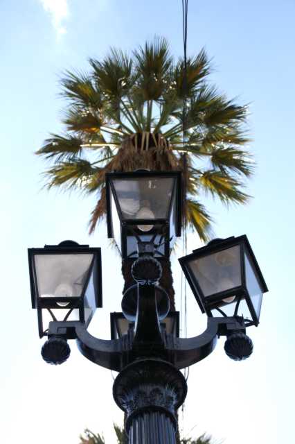 pict5989.jpg