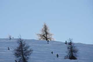 dsc00710.jpg