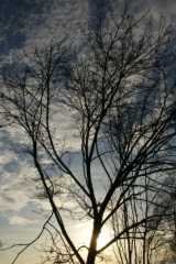 dsc01977.jpg