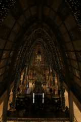 dsc00236.jpg