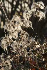 dsc02220.jpg