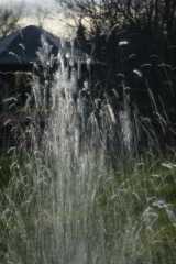 dsc03671.jpg