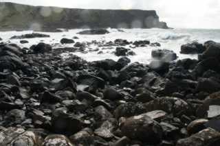 dsc04114.jpg