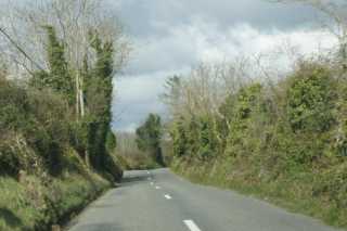 dsc04537.jpg