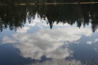 dsc05726.jpg