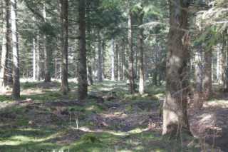 dsc05864.jpg