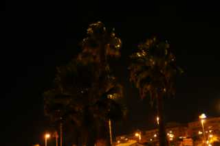 DSC02877.JPG