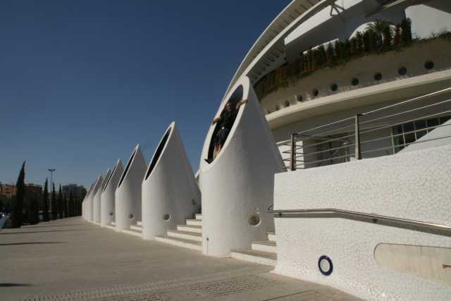 DSC02660.JPG