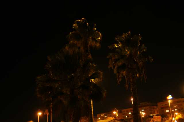 DSC02877.JPG
