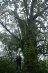 DSC006350.JPG