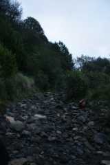 DSC006380.JPG