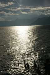 DSC007087.JPG