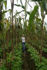 DSC007662.JPG