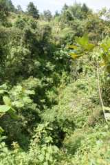 DSC007683.JPG