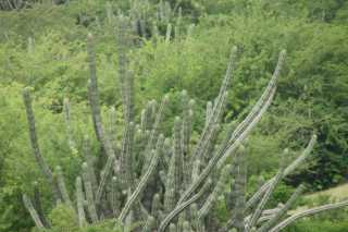 DSC200407.JPG