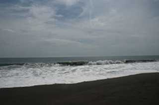 DSC200630.JPG