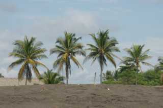 DSC200694.JPG