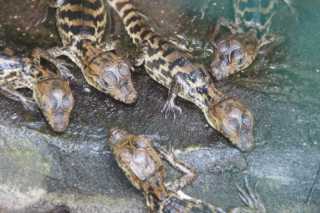 DSC200727.JPG