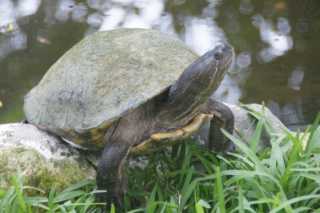 DSC200732.JPG