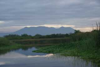 DSC201005.JPG