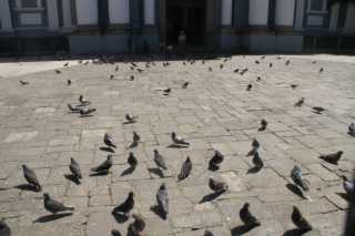 DSC302133.JPG