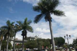 DSC302154.JPG