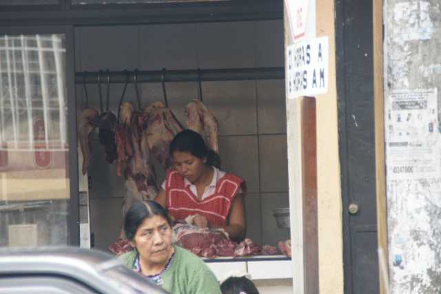 DSC200097.JPG