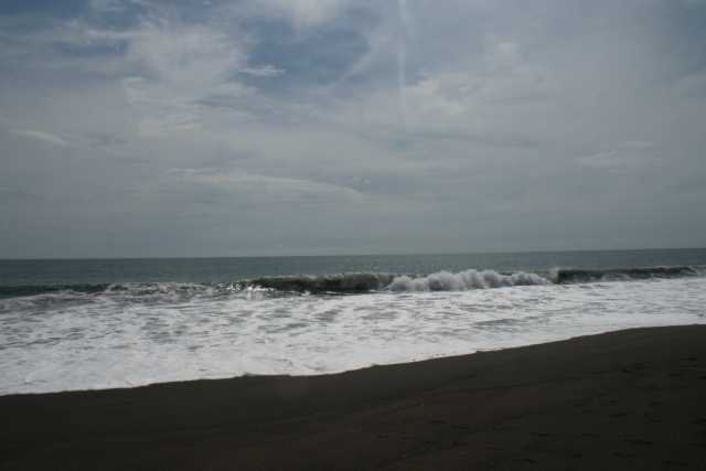 DSC200630.JPG