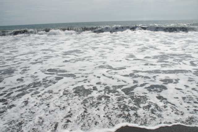 DSC200669.JPG