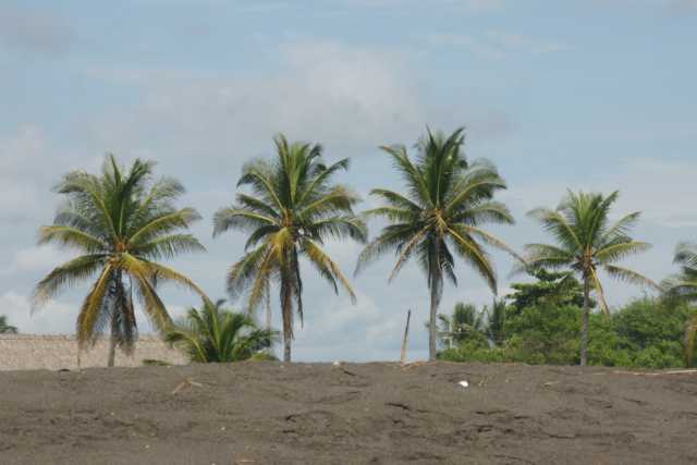 DSC200694.JPG