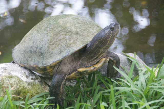 DSC200732.JPG