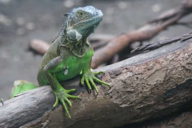 DSC200786.JPG