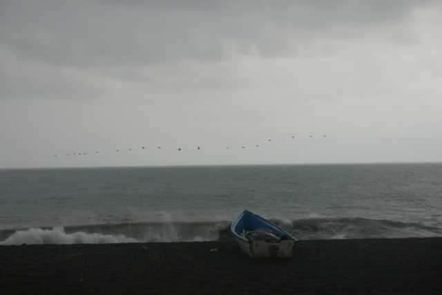 DSC200851.JPG