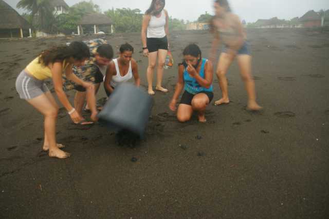 DSC200876.JPG