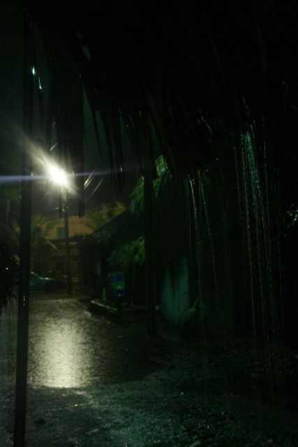 DSC200894.JPG