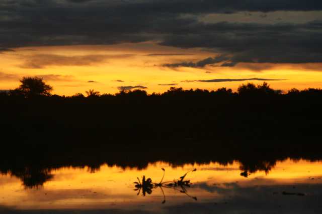 DSC200975.JPG