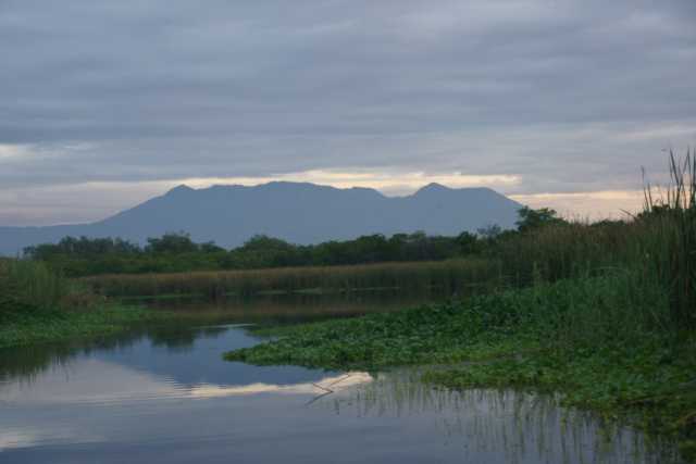 DSC201005.JPG