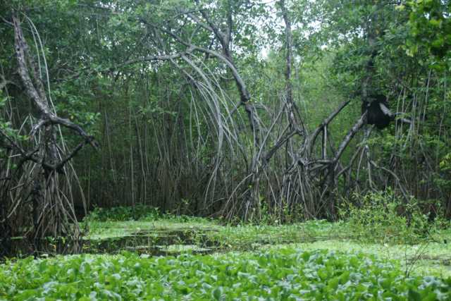 DSC201164.JPG