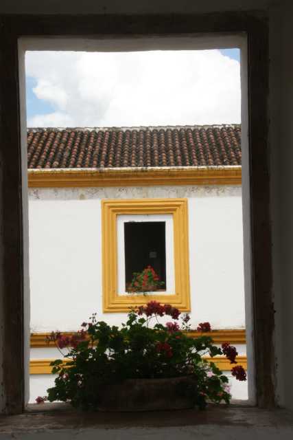 DSC301961.JPG