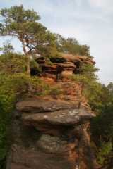 DSC02852.JPG