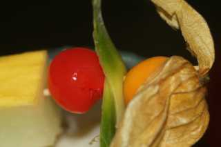 DSC02515.JPG