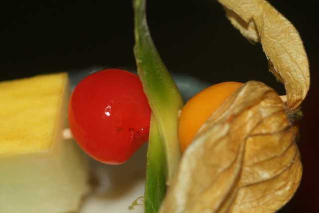 DSC02515.JPG