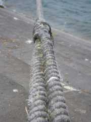 IMGP0214.JPG