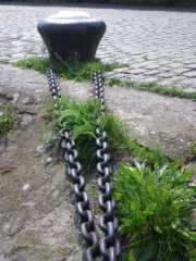 IMGP0217.JPG