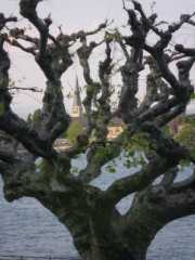 IMGP0235.JPG