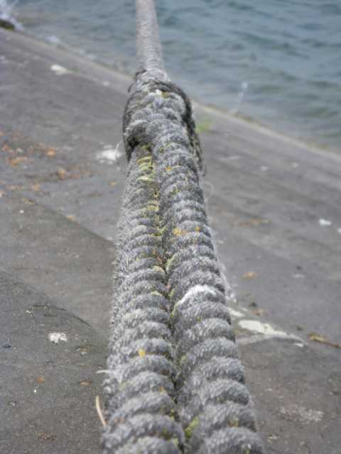 IMGP0214.JPG