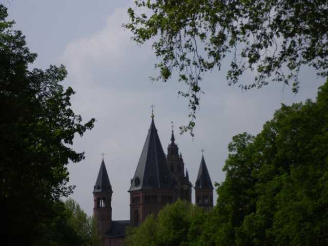 IMGP0218.JPG
