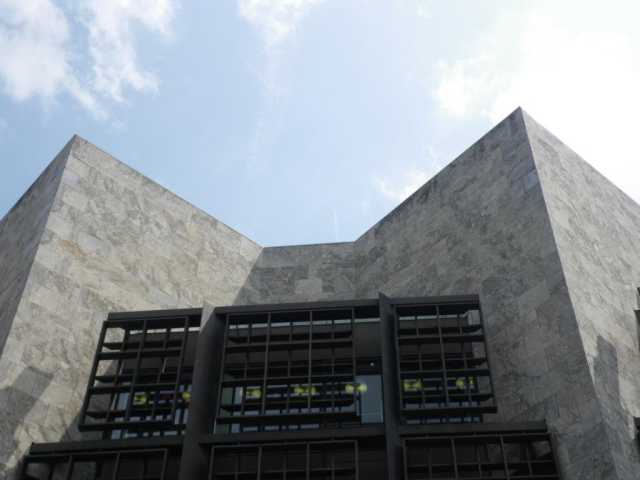 IMGP0225.JPG