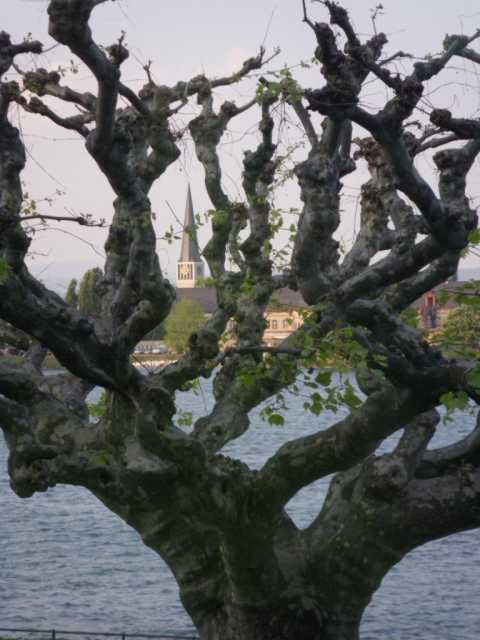 IMGP0235.JPG