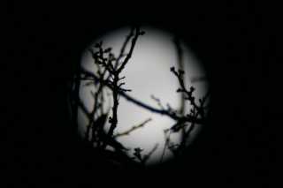 DSC02774.JPG